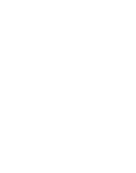 The E8 Group Logo